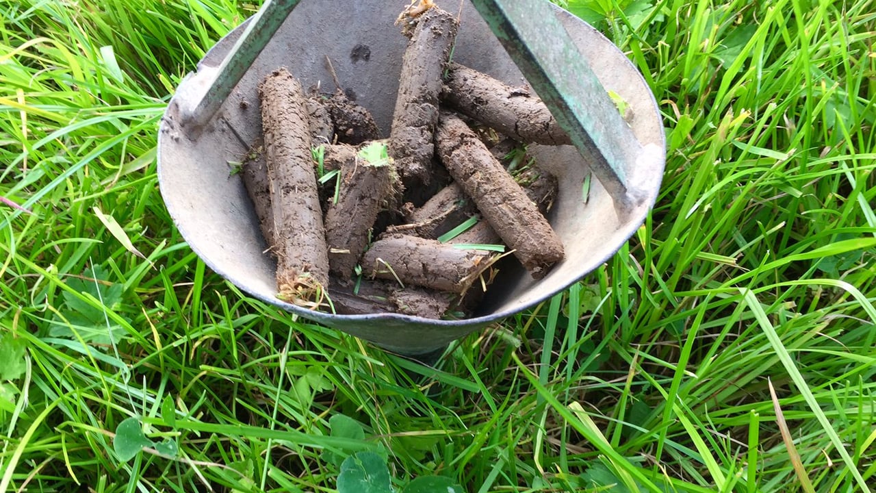 Soil testing survey reveals important grassland fertility trends