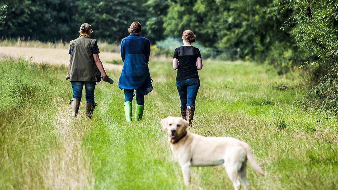 Scottish rural organisations plea with those exercising in the countryside