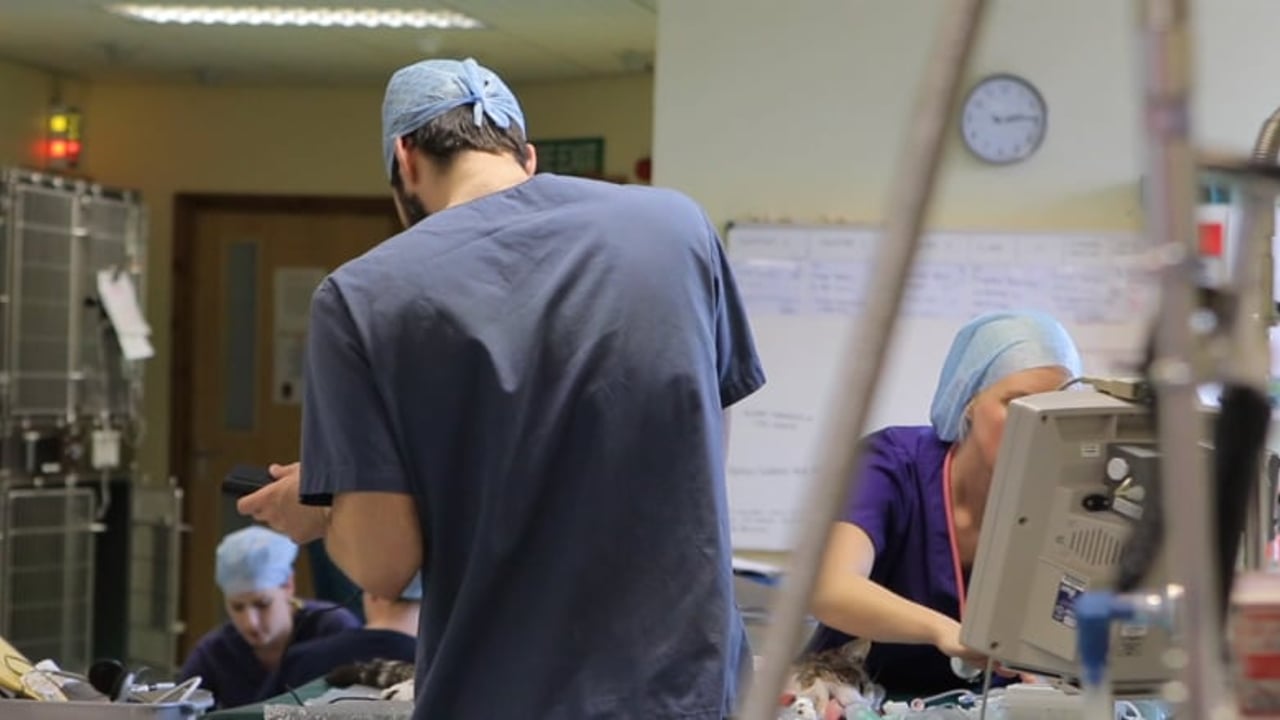 RCVS accepts APHA proposals on certification support officers