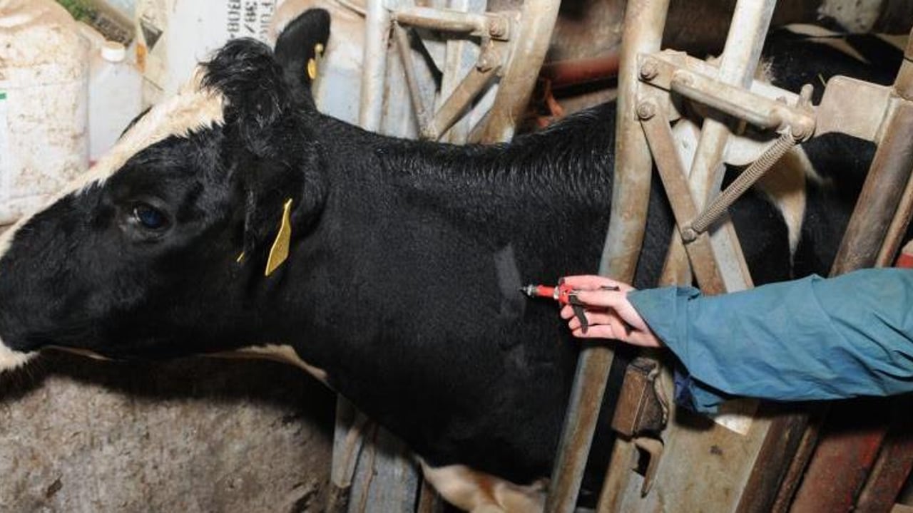 TB: Compulsory insurance and an end to compensation on the cards