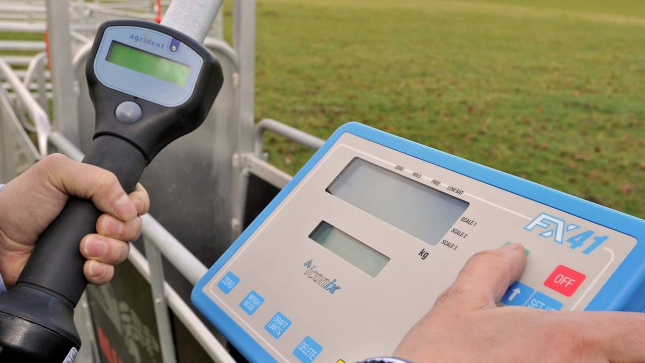 Allflex acquires German agri-tech company