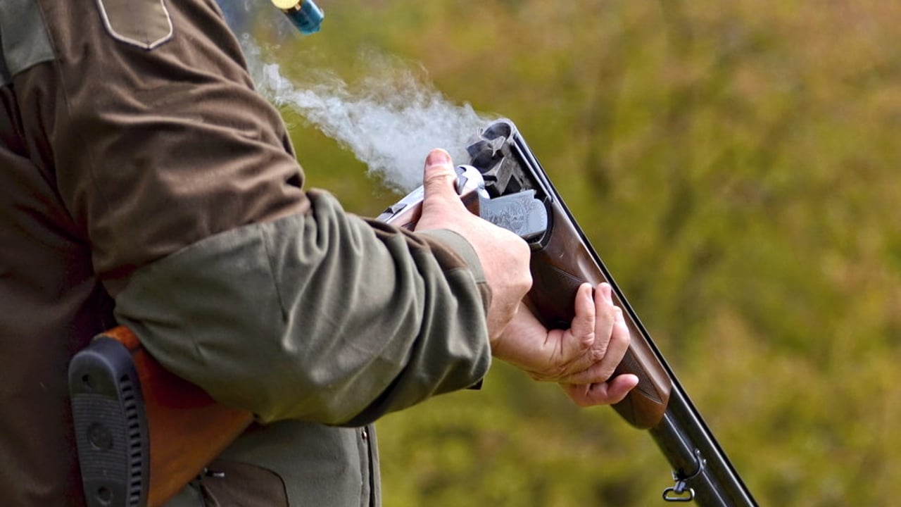 New report shows the importance of game shooting to the Welsh public