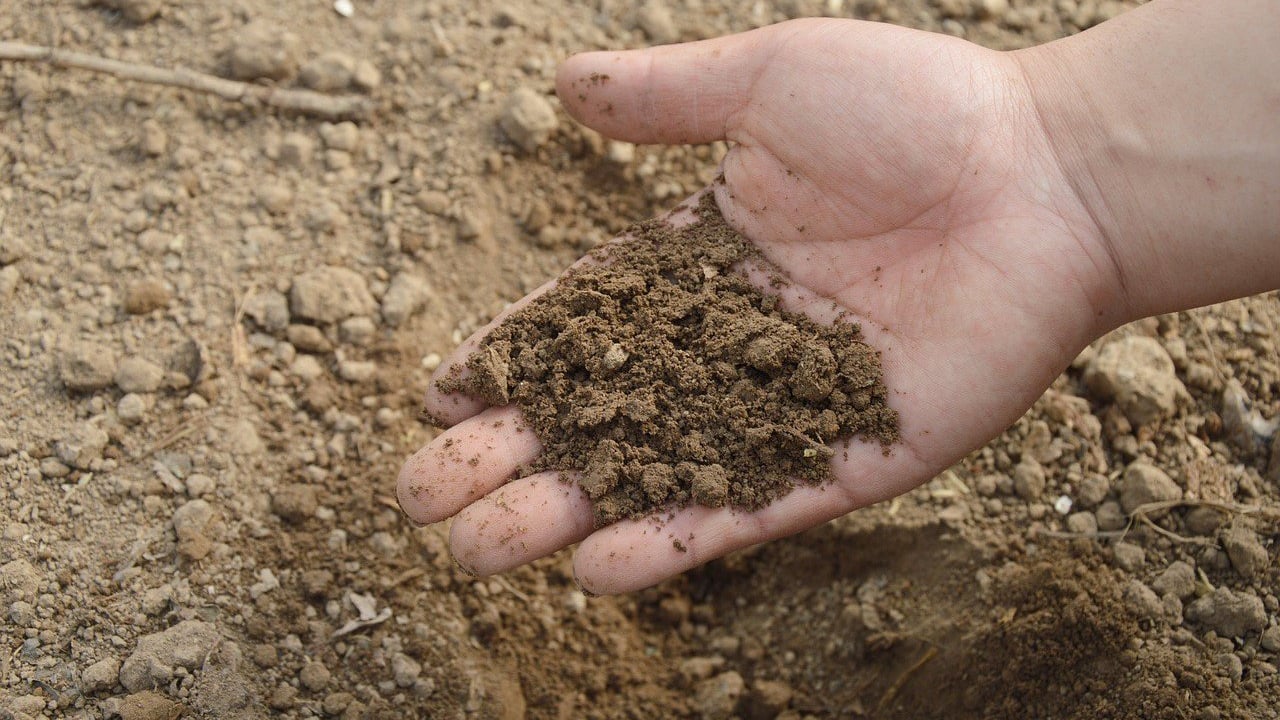 Poor soil structure could cost up to £220/ha…but can you avoid common pitfalls?
