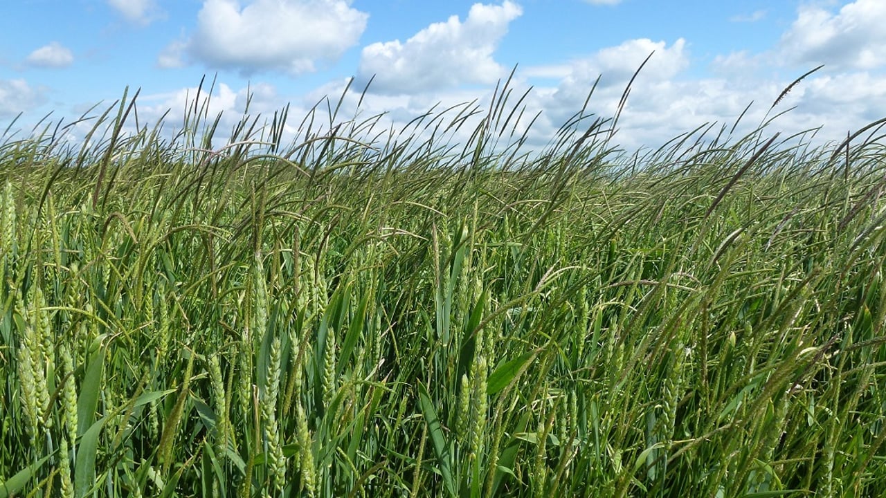Natural England creates new 3,000ha nature reserve