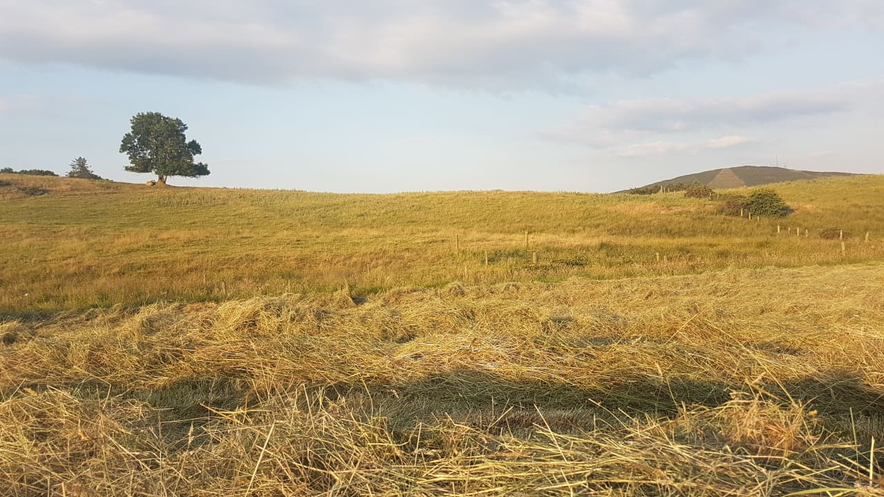 Drought in England labelled ‘significant incident’