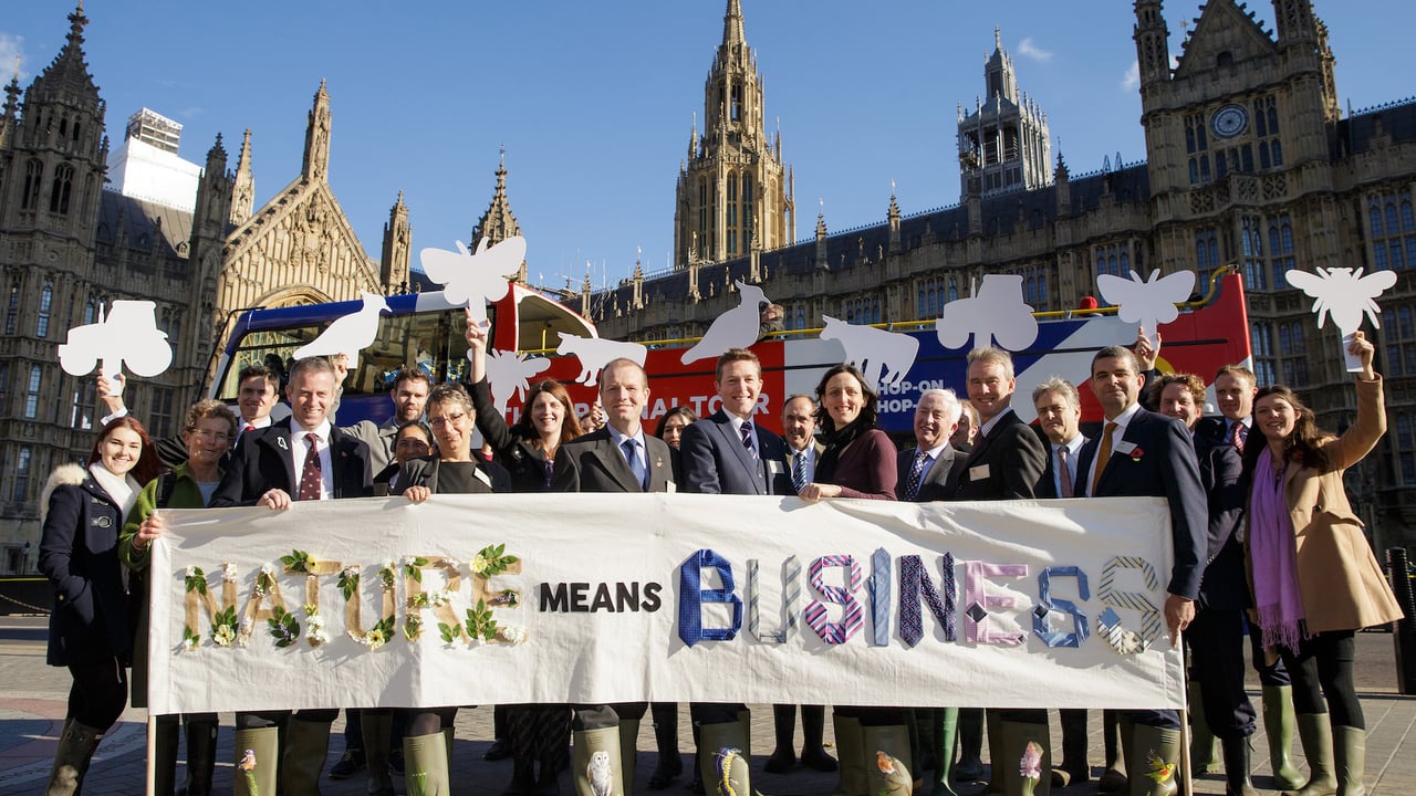 NFFN calls on Gove to set minimum environmental standards for farming