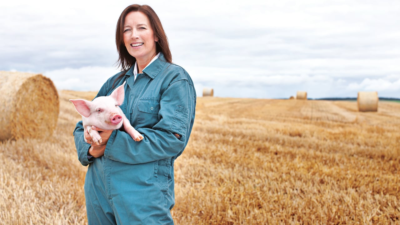 Scottish pig industry unites to eradicate endemic disease
