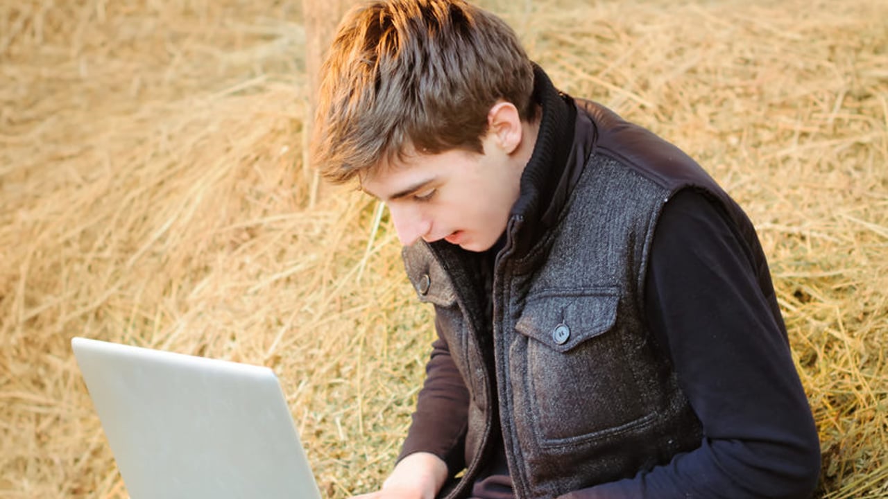 BASIS to offer online assessments for the first time