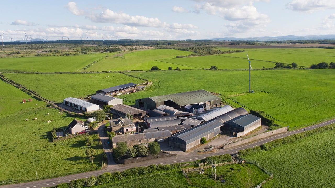 ‘Established’ dairy farm includes 3 robotic milking machines on 523ac