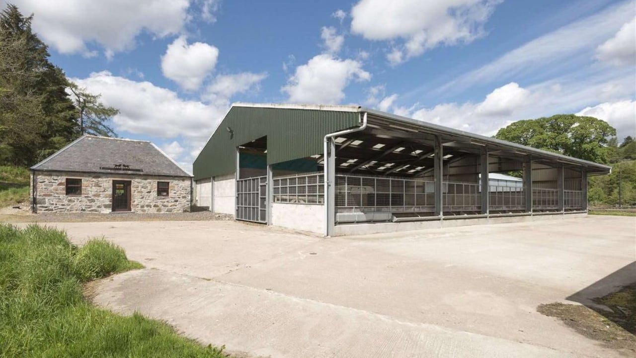 Grants to improve cattle buildings announced