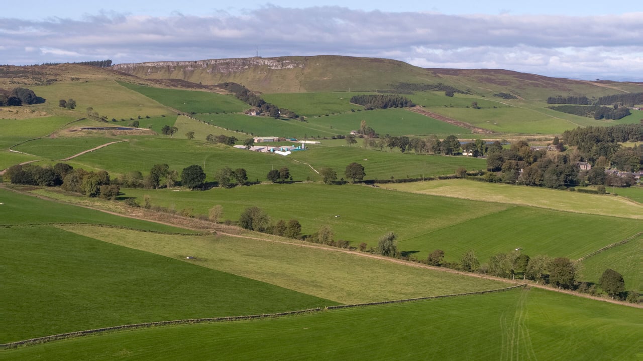 Savills farmland forecast 2020 – local factors to dominate