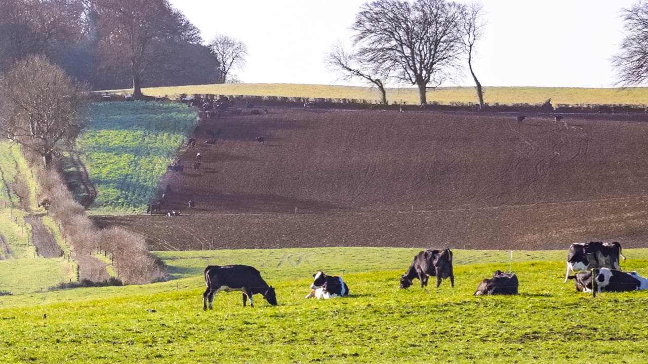Over 75,000ac of Scottish land under new sustainable management scheme