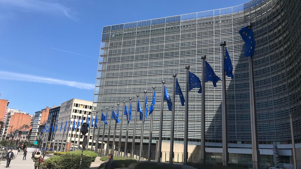 Stable CAP 2021 budget ‘crucial’ for young EU farmers