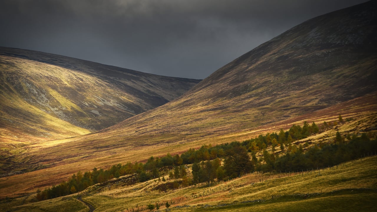 Grouse shooting report will mean ‘seismic’ changes for Scotland moors