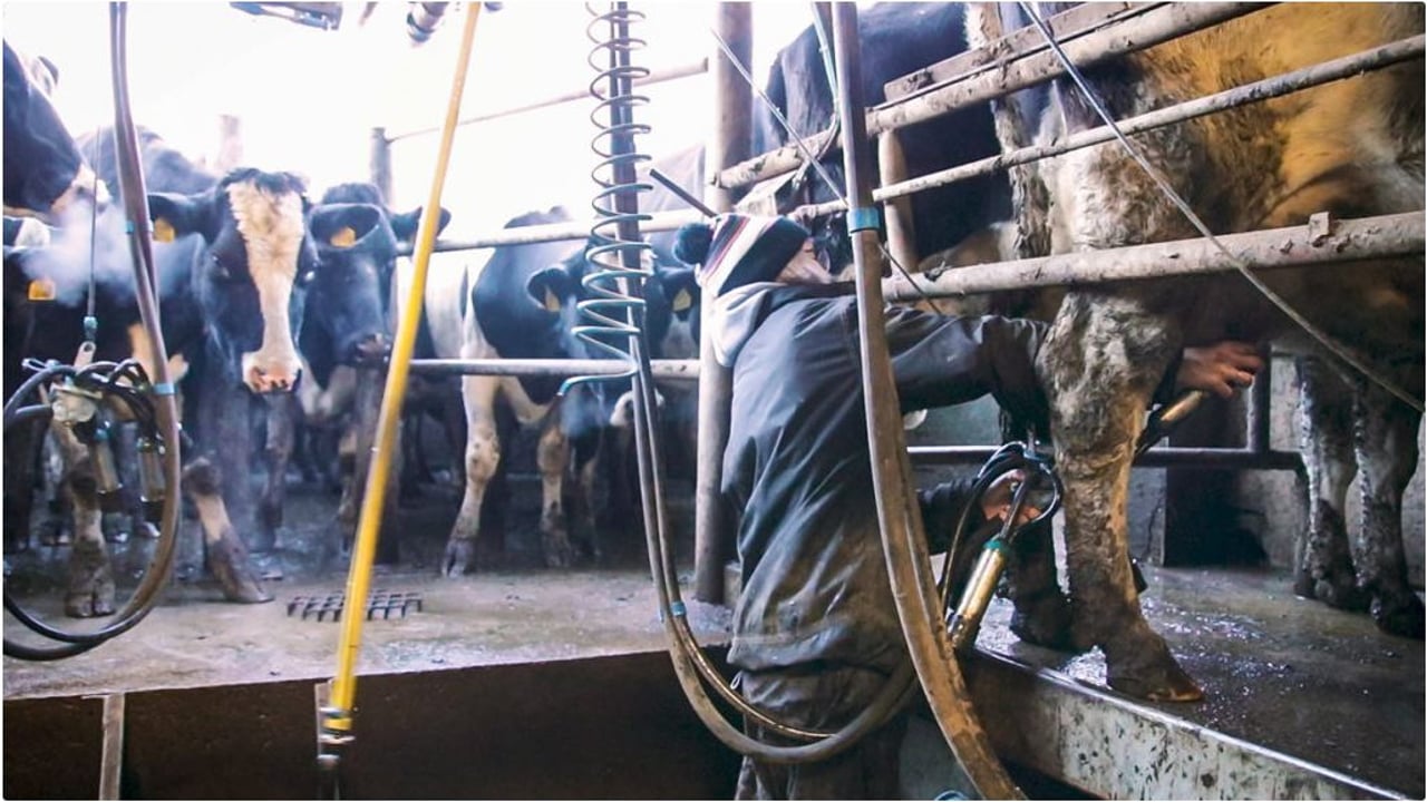 What ‘type’ of labour will best suit my farm this spring?