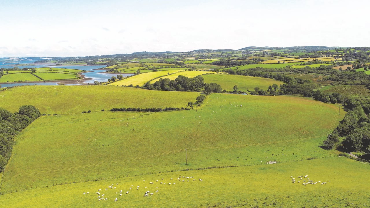 Successful first year for the Scottish Land Matching Service
