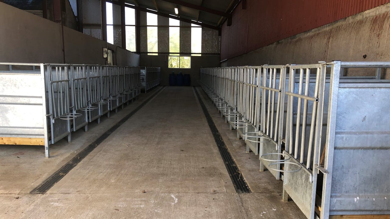 Management hint: Your complete pre-calving checklist