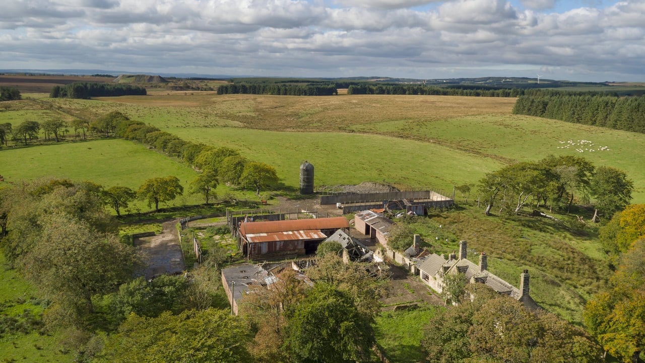 Historic house with a productive livestock unit for sale