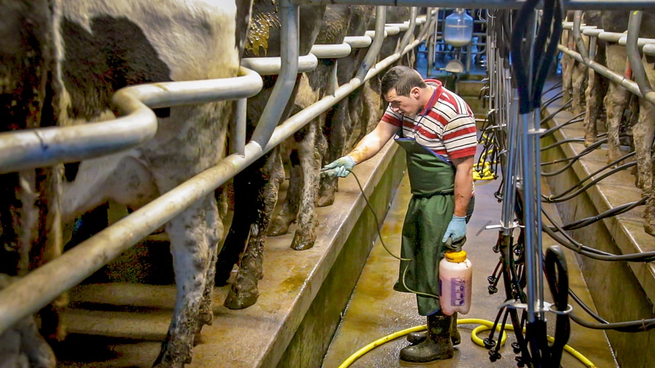 RABI to introduce 24/7 helpline for farming people