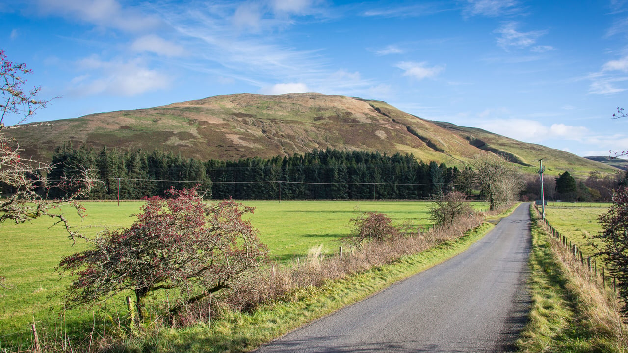 Scottish tree nurseries and small forestry businesses to benefit from £1.5 million funding