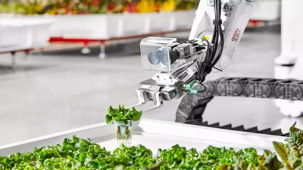 What new schemes will be introduced by the ‘Path to Sustainable Farming’?