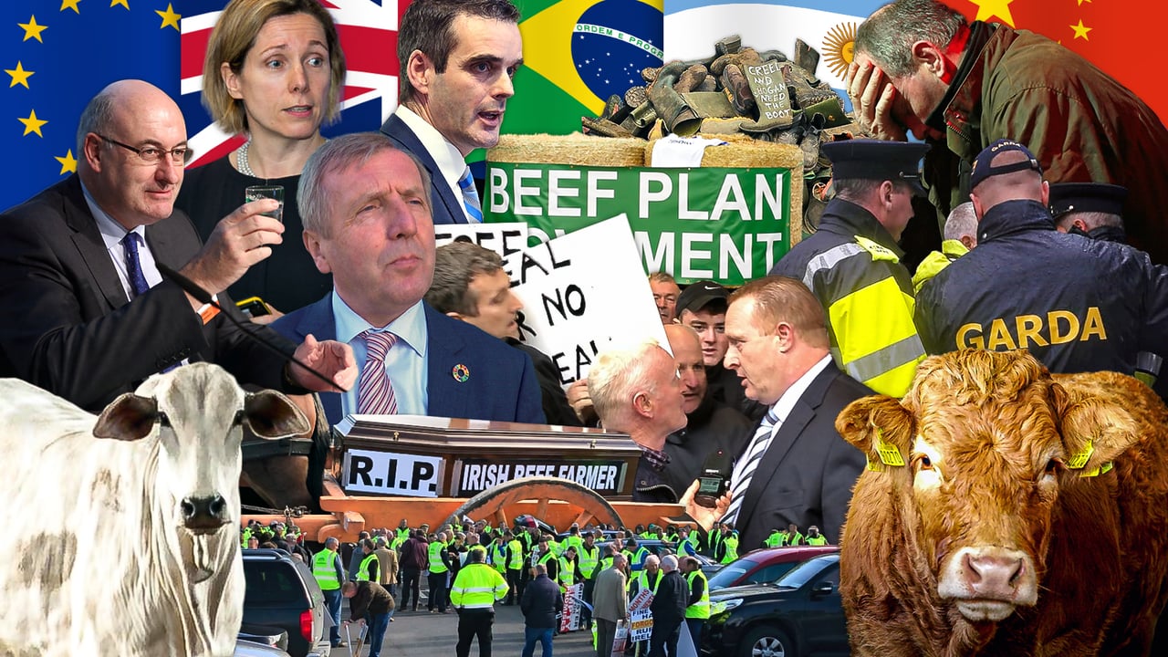 Big Read: Irish Beef Industry Review January to December 2019