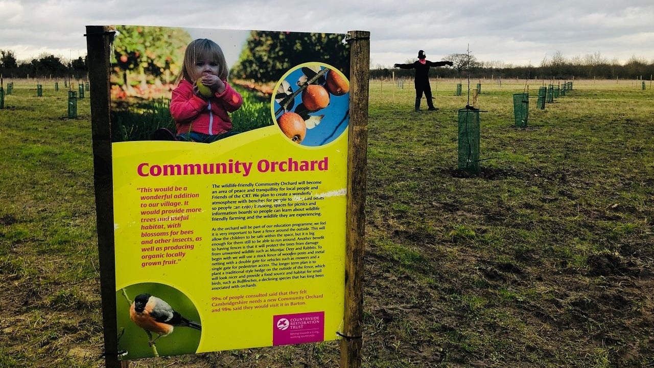 Community orchard awarded £15,000 grant from Postcode Community Trust