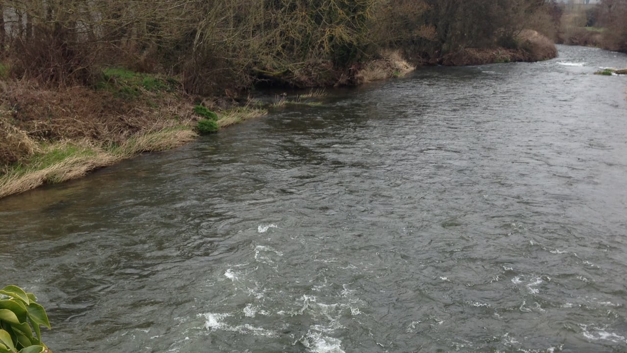 Cumbrian river restorations wins European Riverprize
