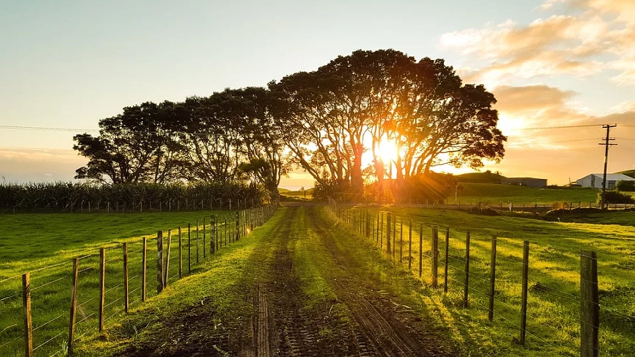 Want to have your say on future NI agricultural policy? Now’s your chance