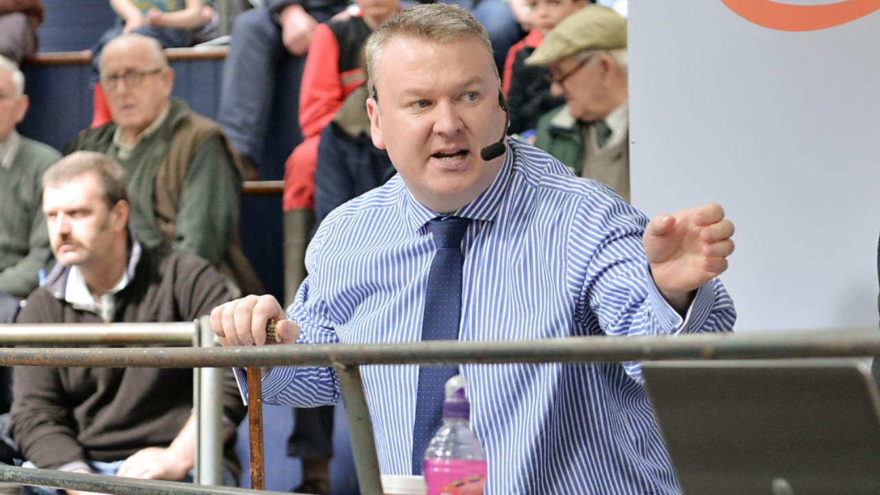 UK’s first online-only livestock auction to take place next week