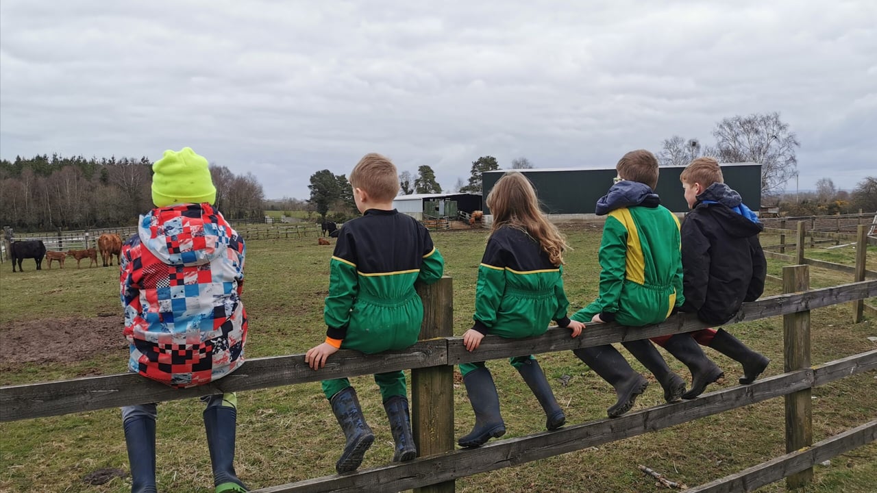 Home educating on the farm: Family share lessons learned