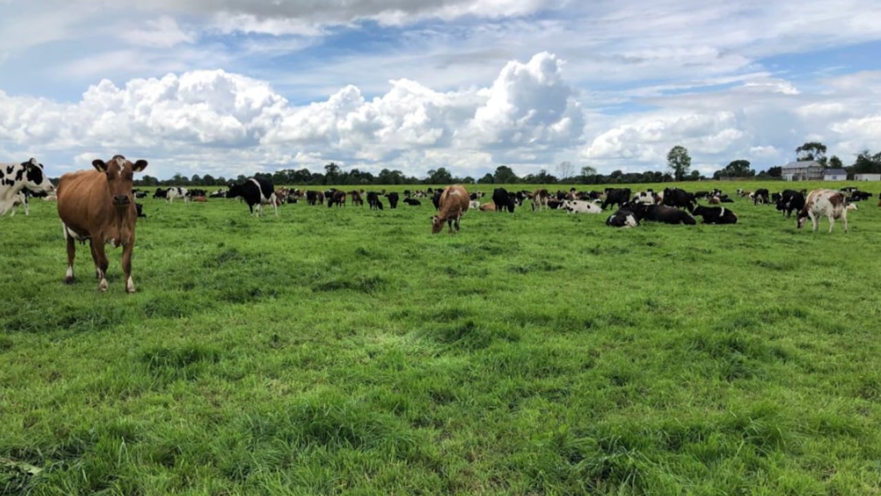 Time to put a plan in place for the breeding season…if you haven’t done so already