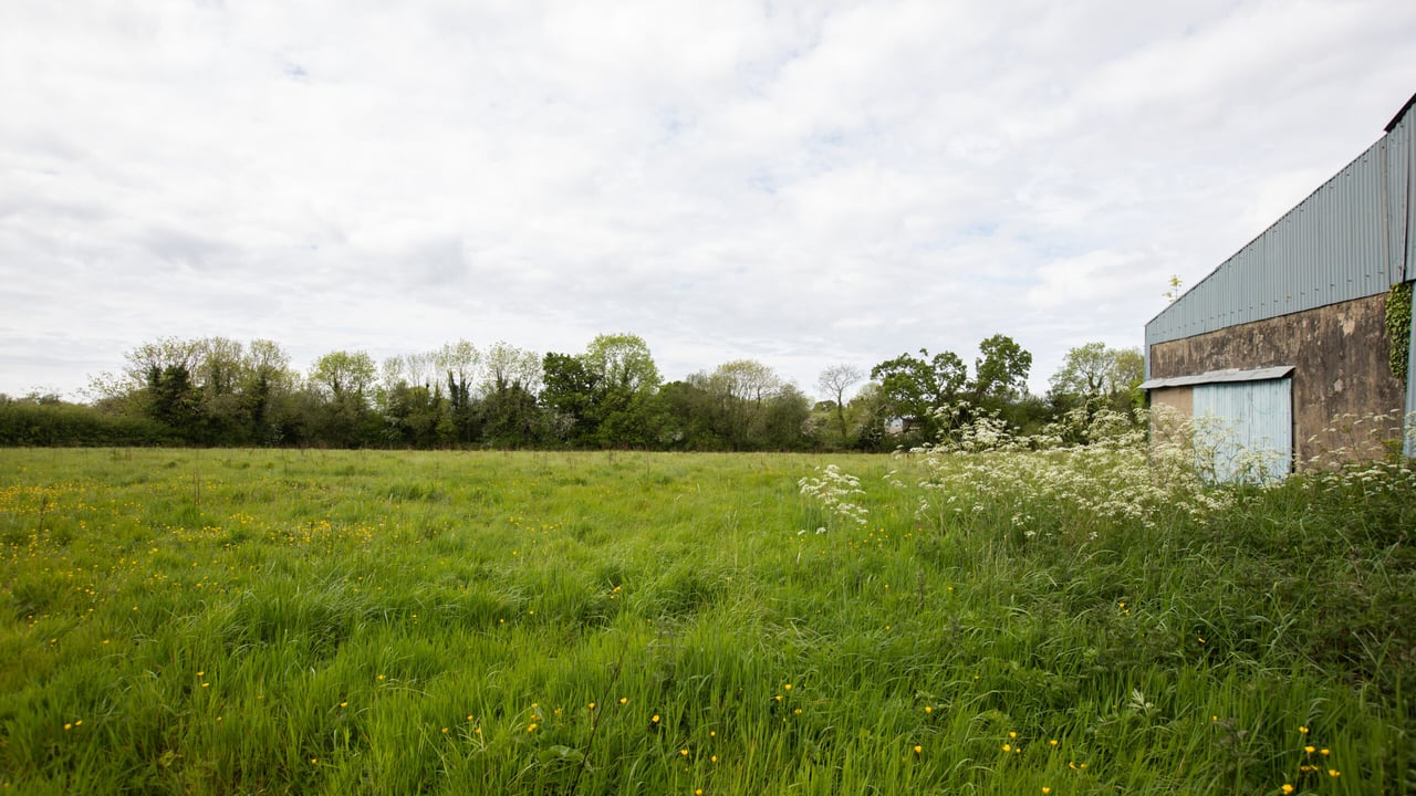25% of EU agriculture land to be organically farmed by 2030