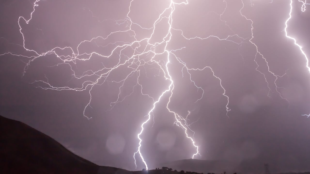 9 cows dead following lightning strike in Clare