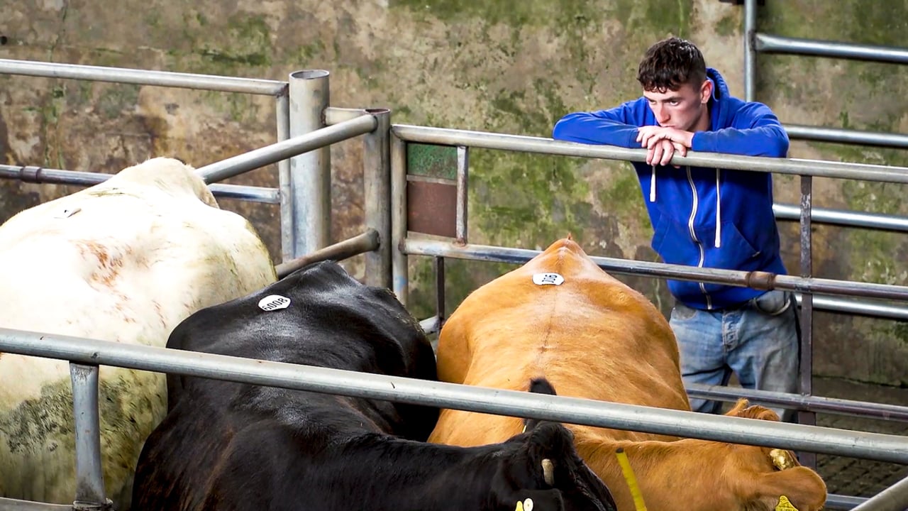 LAA reinforces safety messages ahead of Farm Safety Week
