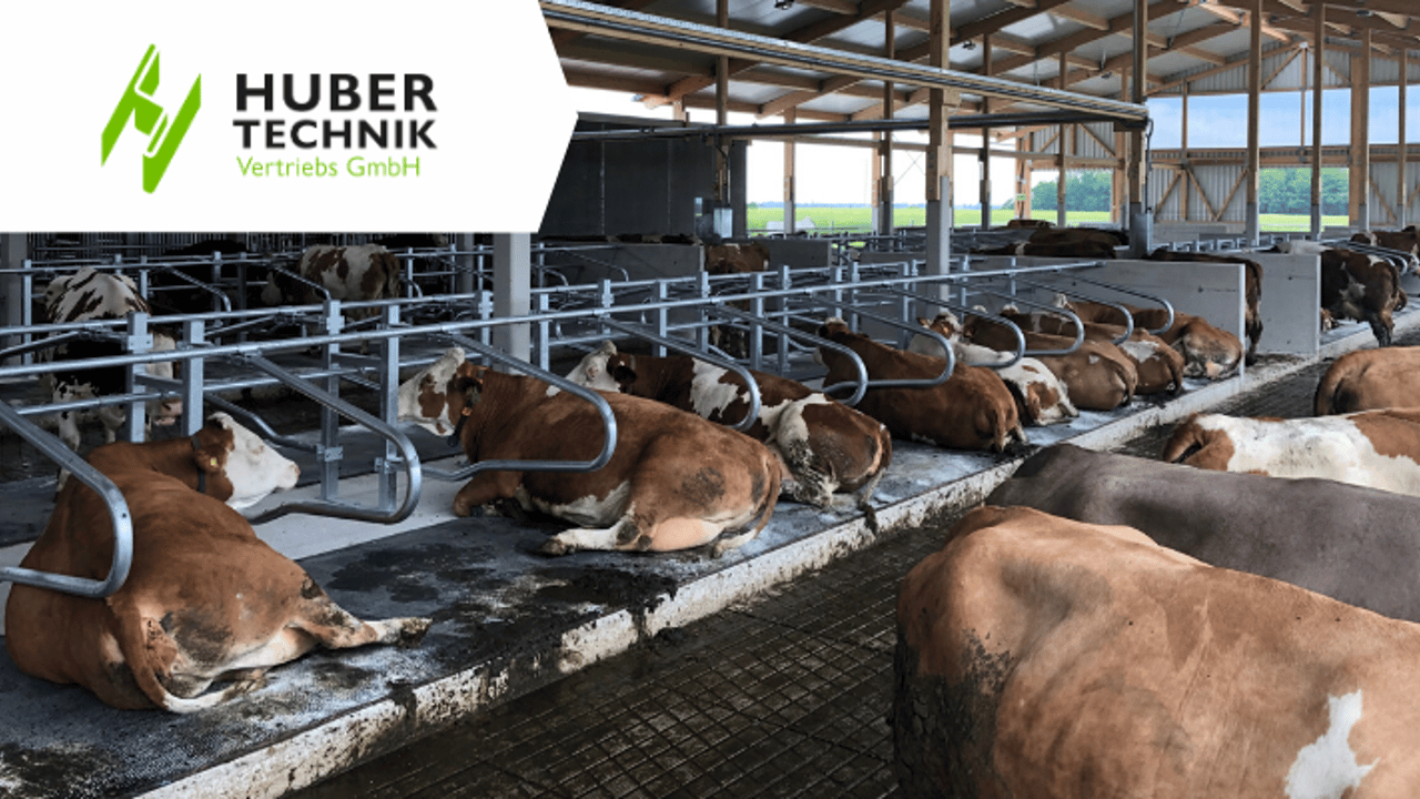 Cow mattress systems for maximum comfort and productivity