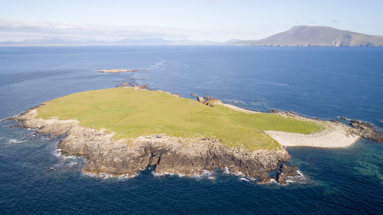 Social distancing the wild way: Private 55ac island guiding at €3,500/ac to go for auction