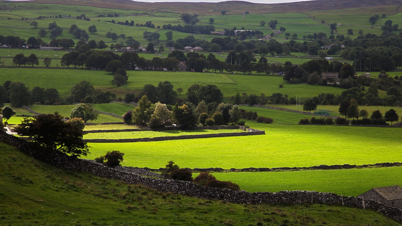 Conservative Party loses rural support as Labour moves ahead – poll