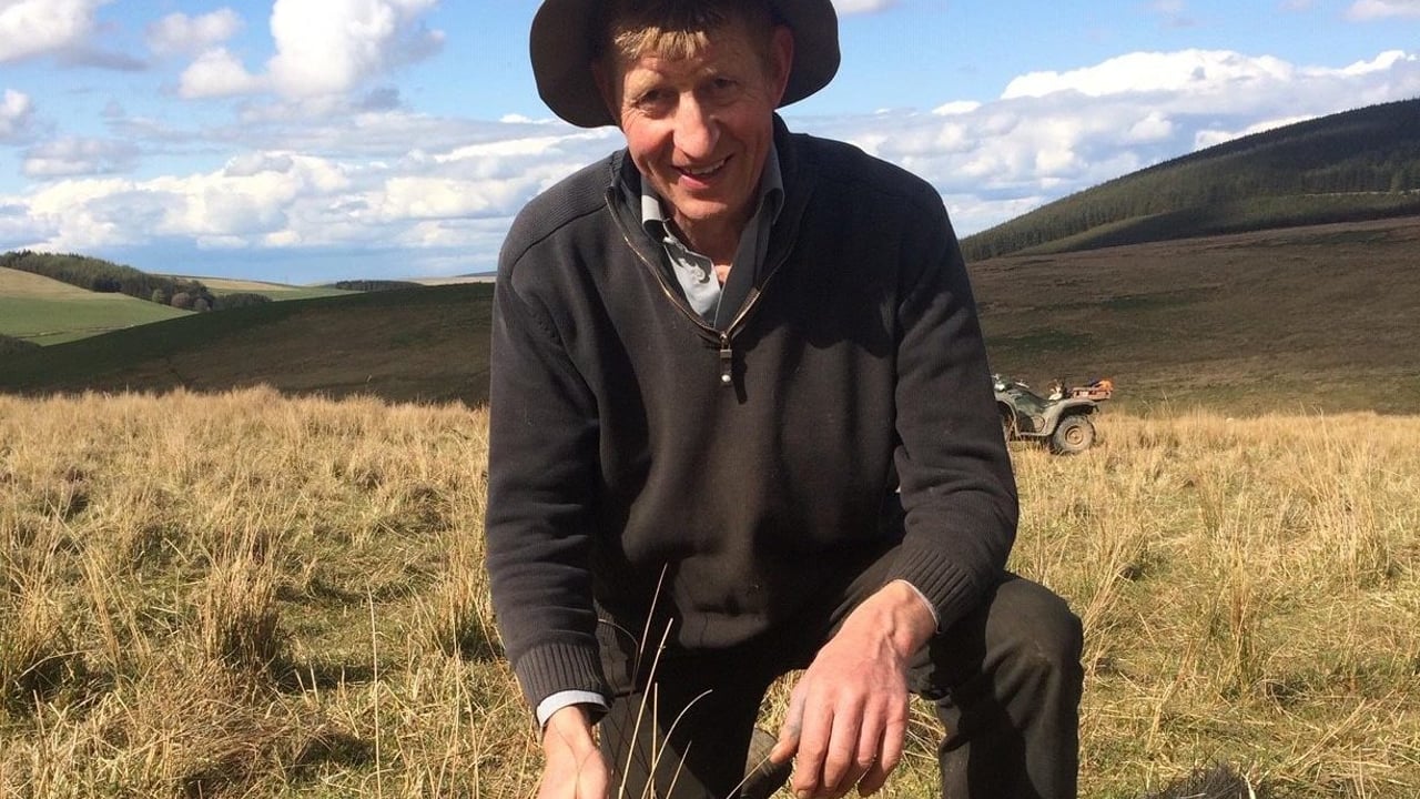 Clyde Valley farming partnership awarded £90,000 to protect wading birds