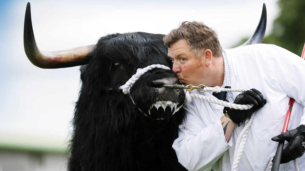 RHASS launches fundraising campaign to ‘save’ Royal Highland Show