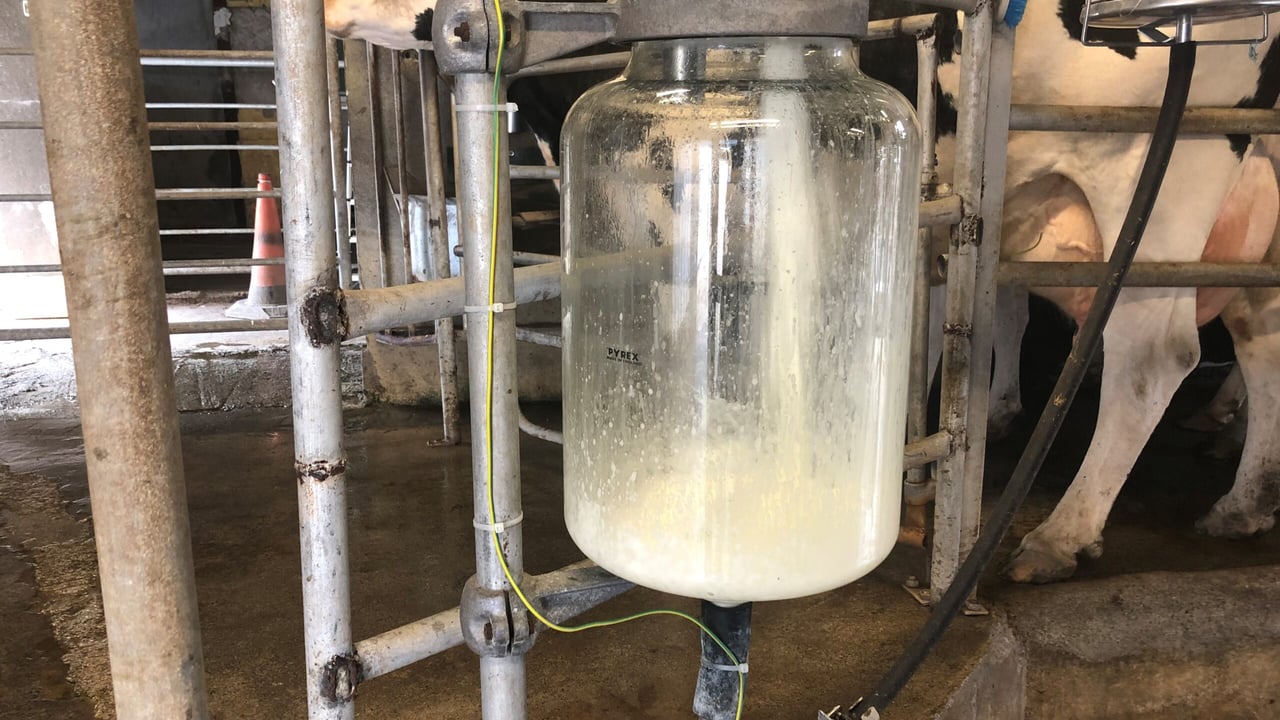 UFU and Holstein NI join forces on call for change to milk pricing
