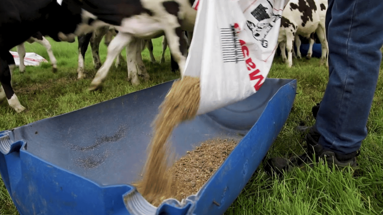 4,000 eligible farmers still to apply for NI’s Covid-19 support fund