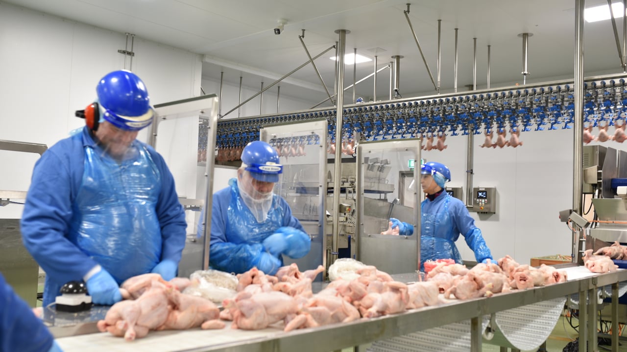 Avara Foods partners with Kickstart scheme