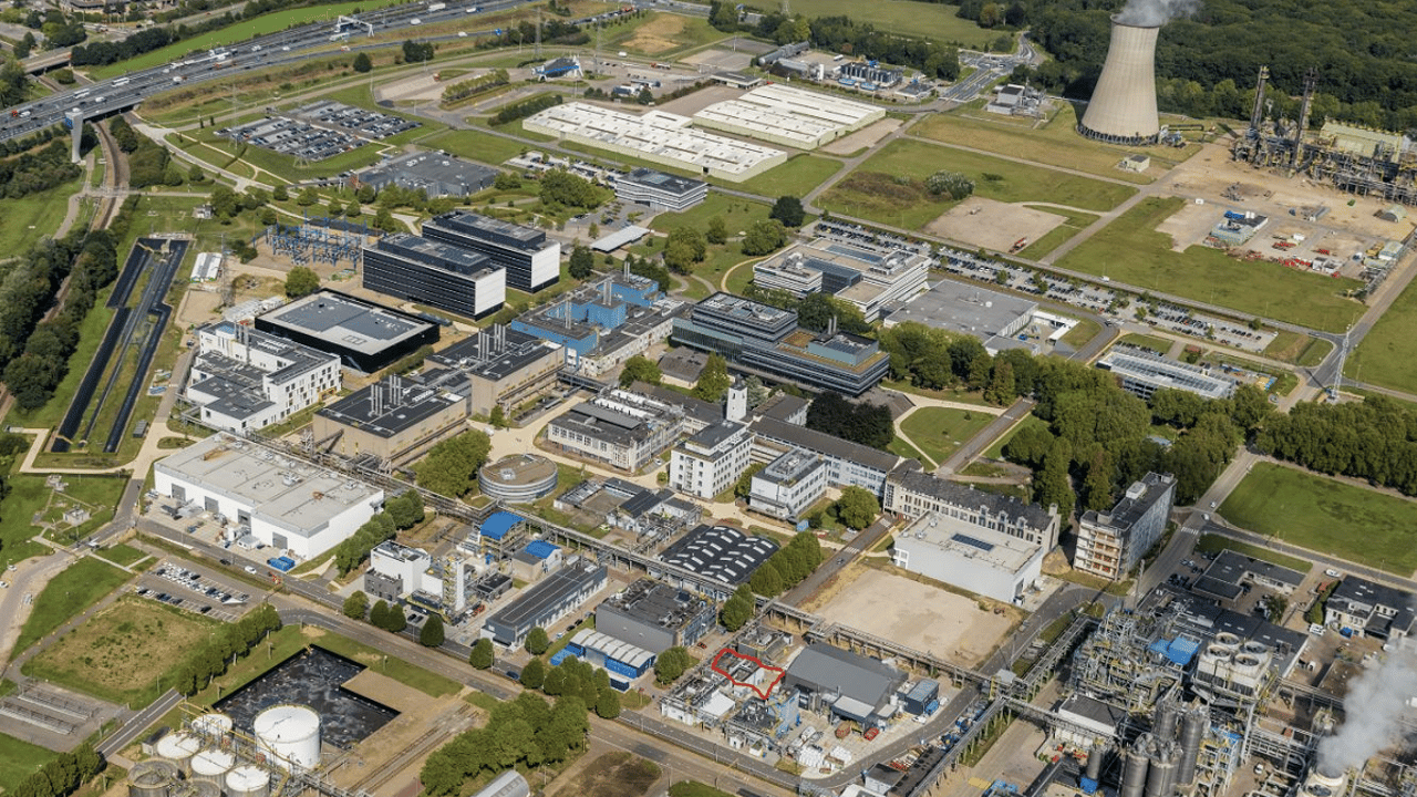 Animal feed made from recycled carbon secures £2.2 million funding