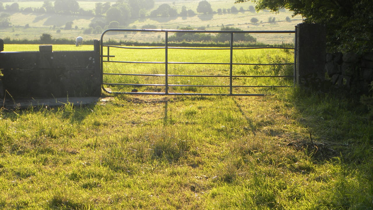 Open Farm Sunday 2024 prompts over 225 on-farm events
