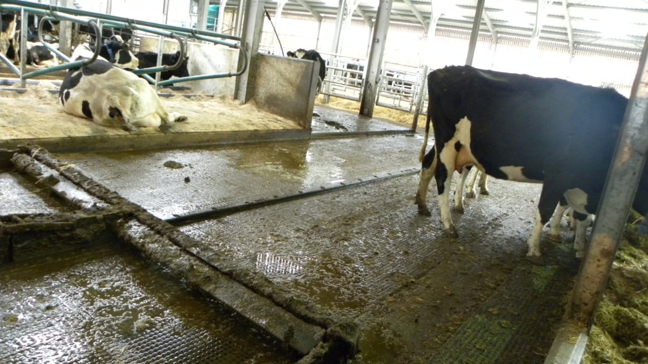 Poots to call for bigger budget for NI’s Farm Business Investment Scheme
