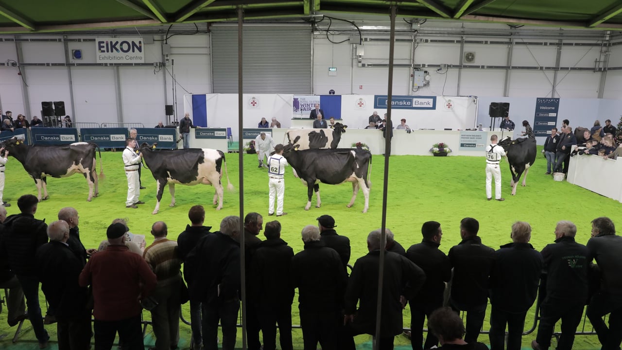 Winter Fair Online to reveal first ‘Champion of the Decade’