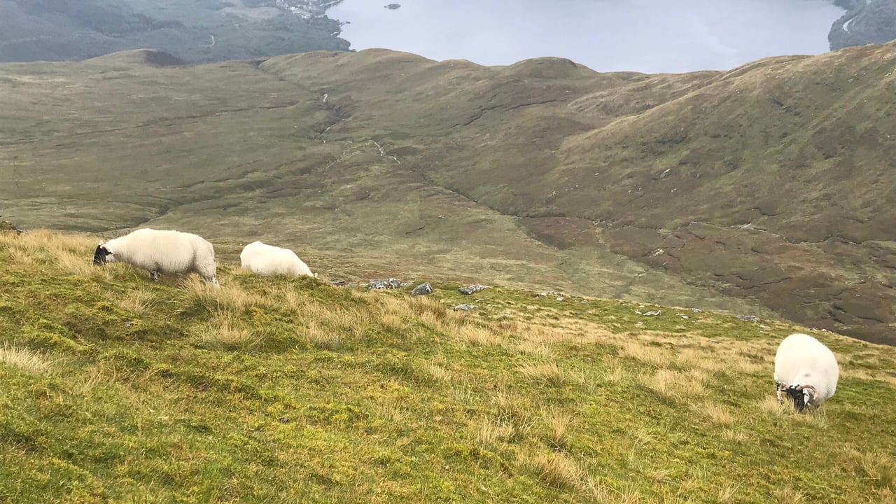 NFU Scotland reminds farmers of SUSSS deadline