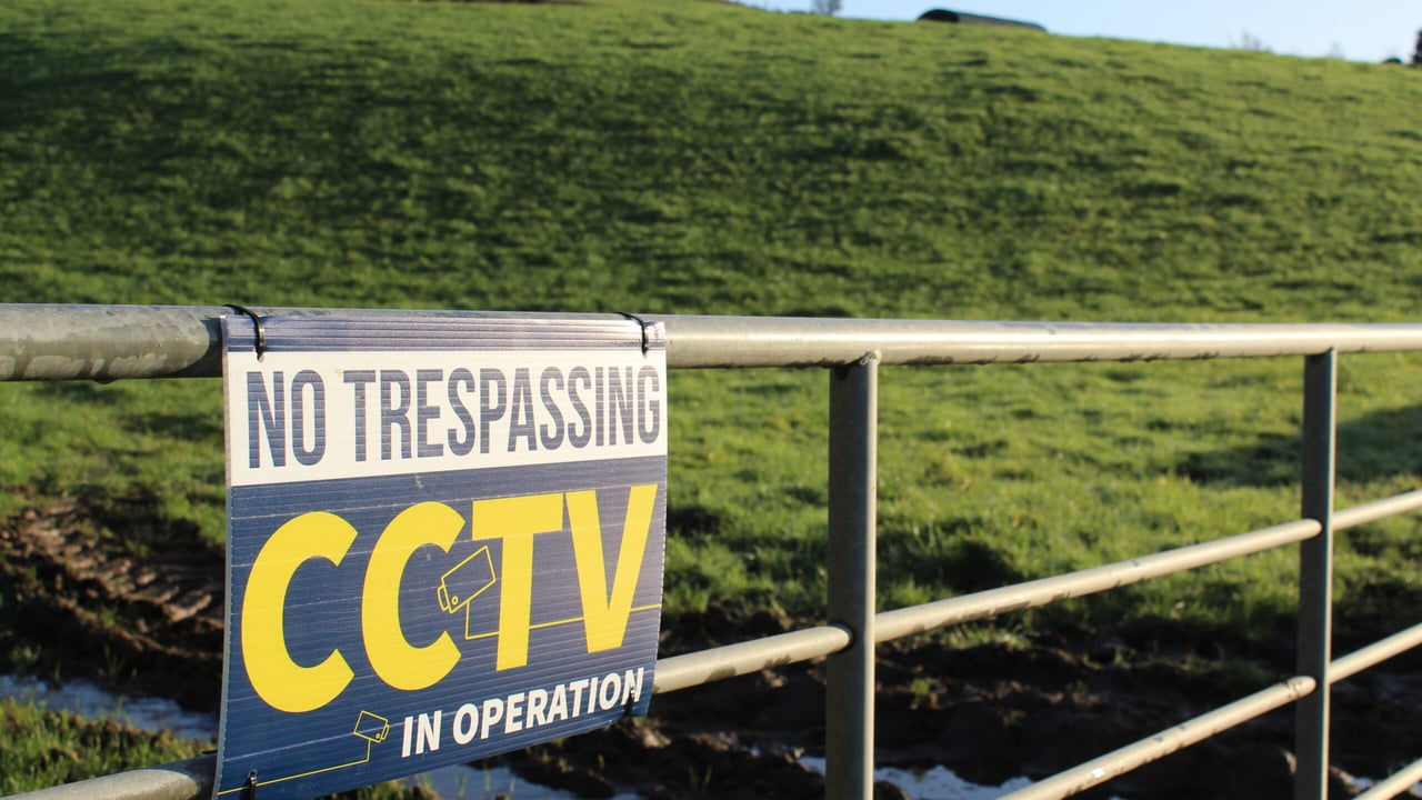 Operation Brockwatch expanded after successfully protecting 6 badger families