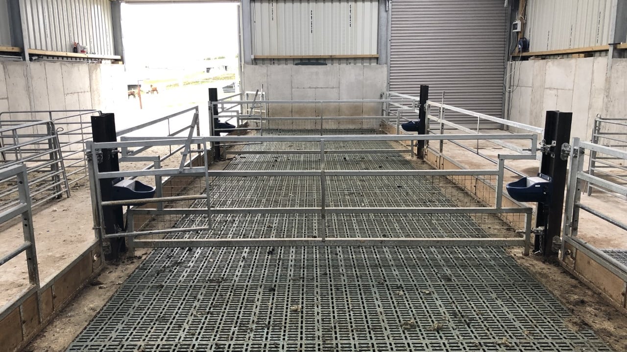 Key considerations to take into account when housing ewes